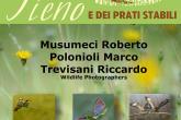 26-27-28.05.23_Mostra Naturalistica in Castello, Loggiato primo piano
